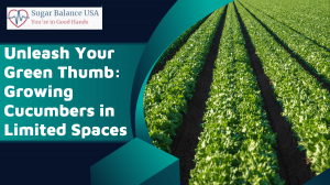Unleash Your Green Thumb: Growing Cucumbers in Limited Spaces